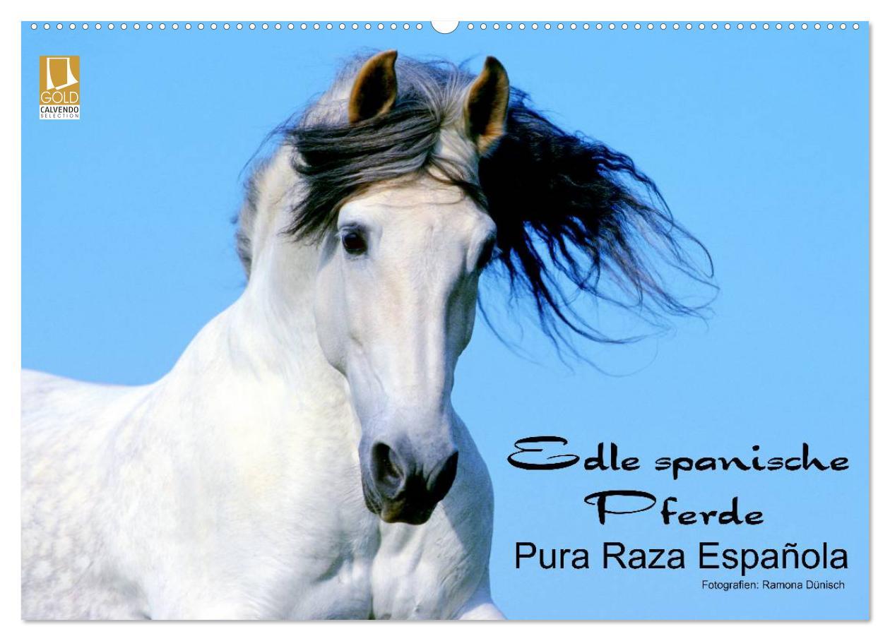 Cover: 9783435745845 | Edle spanische Pferde - Pura Raza Espanola (Wandkalender 2025 DIN...