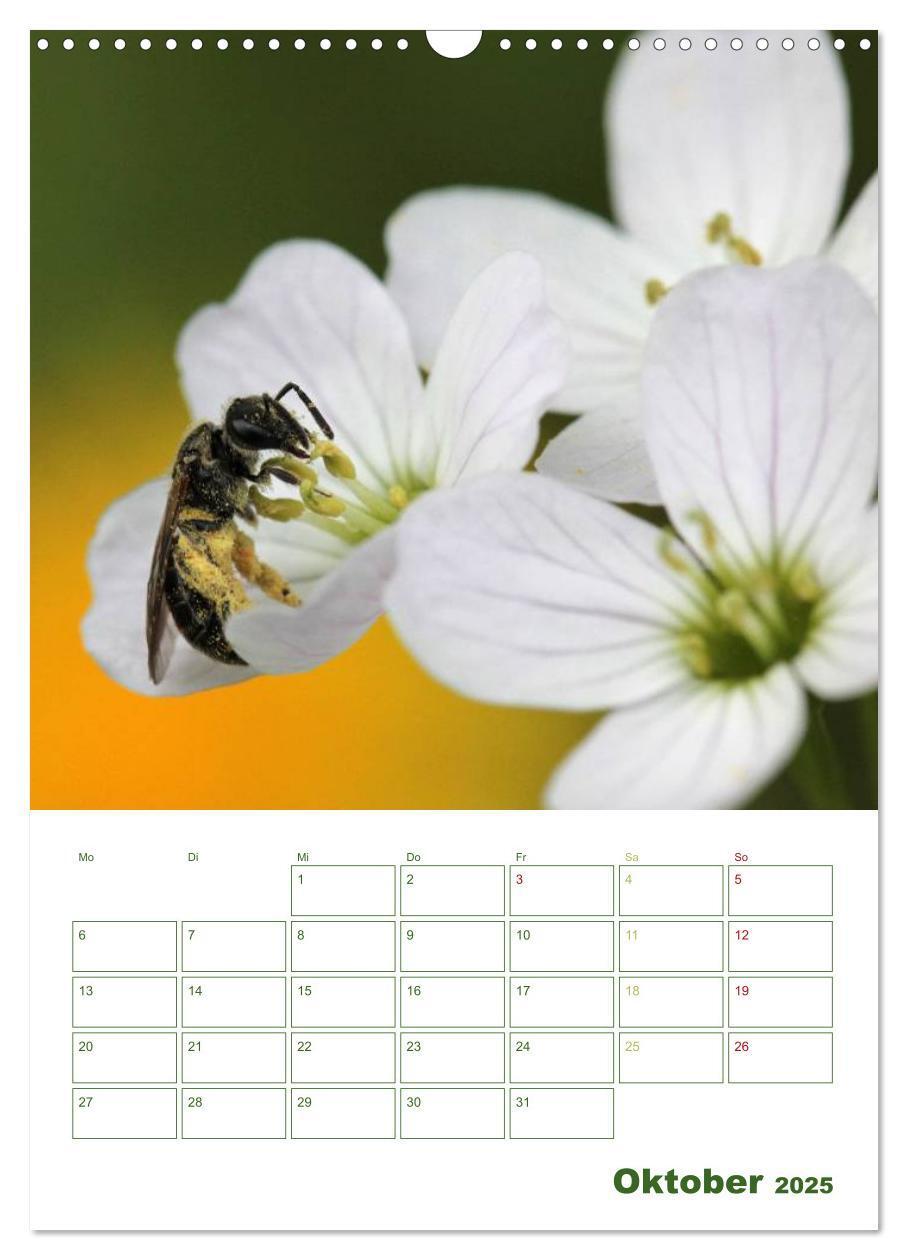 Bild: 9783457030493 | Bienen-Terminplaner 2025 (Wandkalender 2025 DIN A3 hoch), CALVENDO...