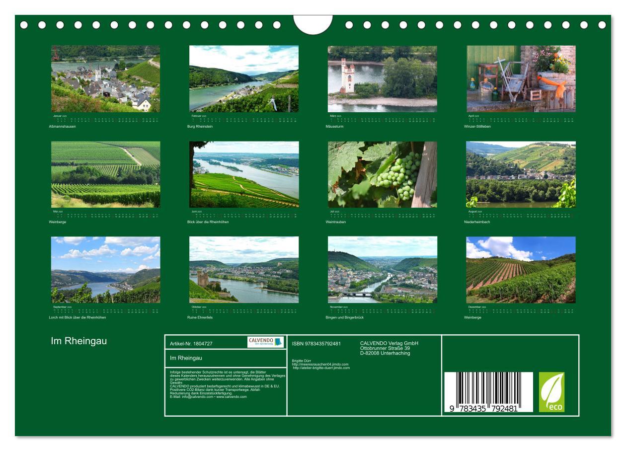 Bild: 9783435792481 | Im Rheingau (Wandkalender 2025 DIN A4 quer), CALVENDO Monatskalender