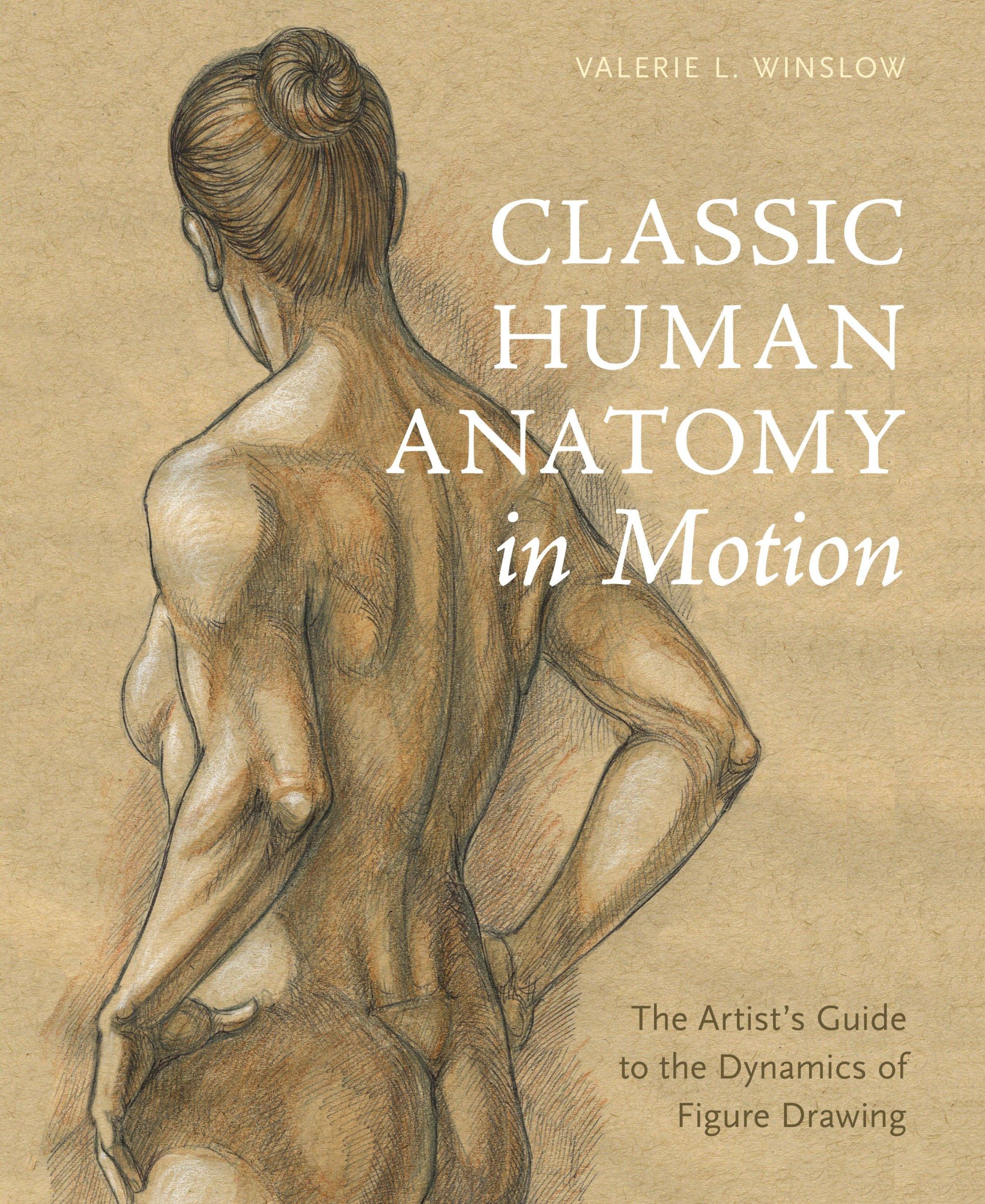 Cover: 9780770434144 | Classic Human Anatomy in Motion | Valerie L Winslow | Buch | Englisch