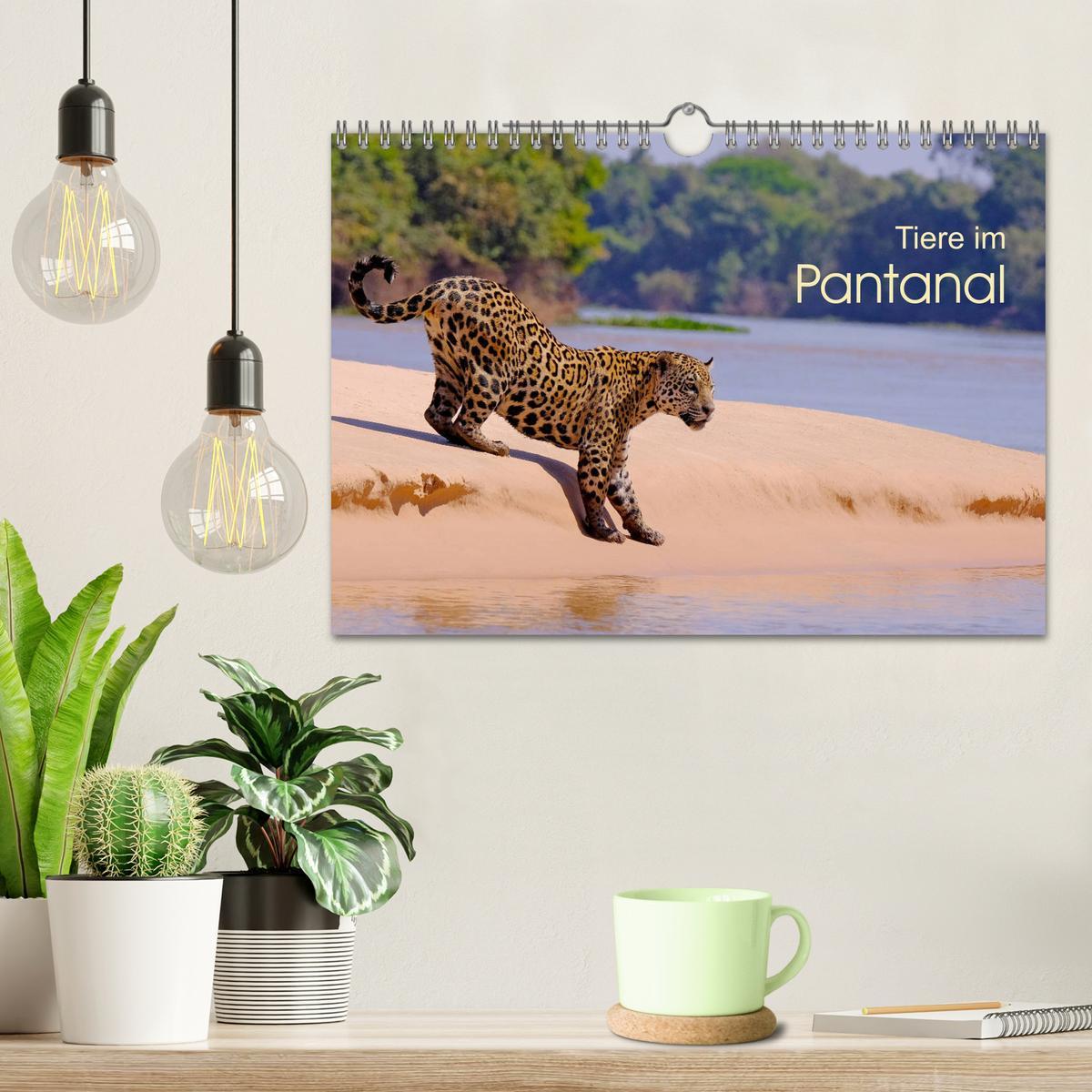 Bild: 9783435123346 | Tiere im Pantanal - viaje.ch (Wandkalender 2025 DIN A4 quer),...