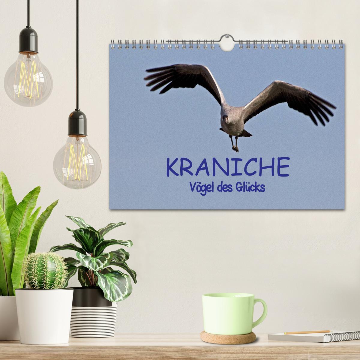 Bild: 9783435817054 | Kraniche - Vögel des Glücks (Wandkalender 2025 DIN A4 quer),...