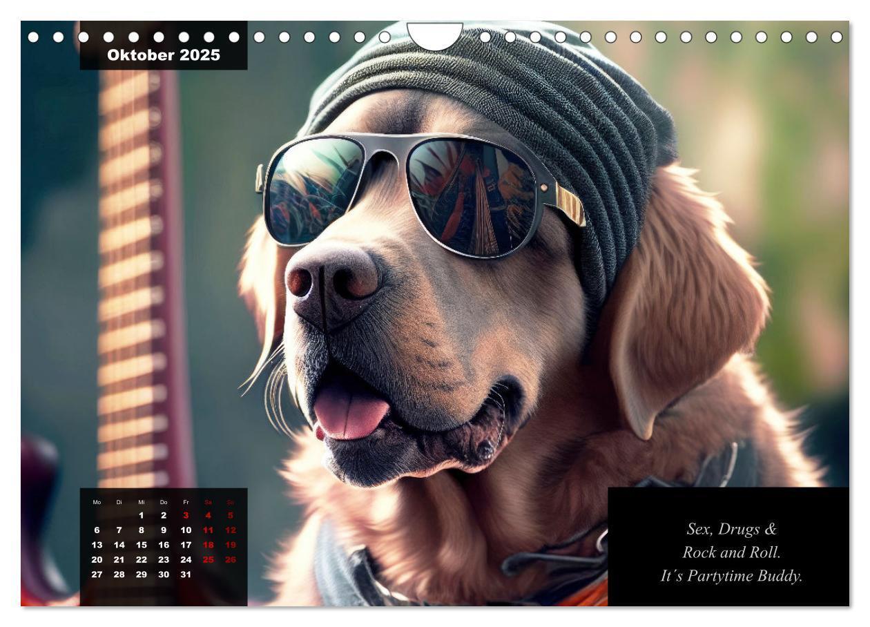 Bild: 9783435368617 | Der witzige Labrador-Kalender (Wandkalender 2025 DIN A4 quer),...