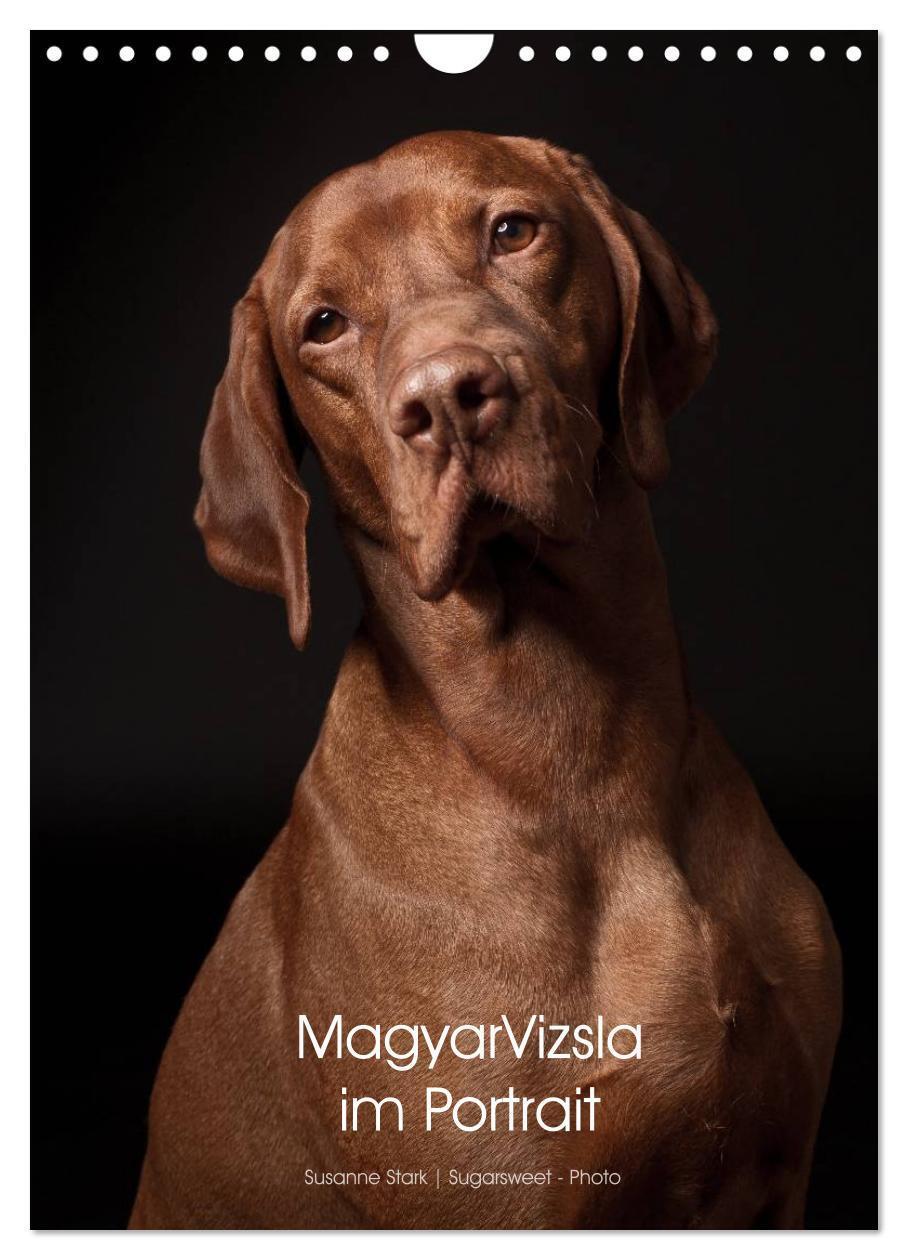 Cover: 9783457016176 | Magyar Vizsla im Portrait (Wandkalender 2025 DIN A4 hoch), CALVENDO...