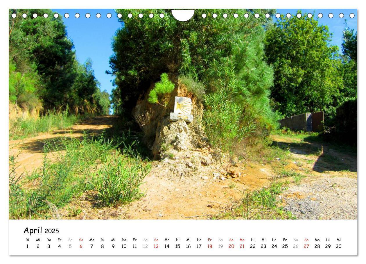 Bild: 9783435558247 | Jakobsweg - Camino Portugues (Wandkalender 2025 DIN A4 quer),...