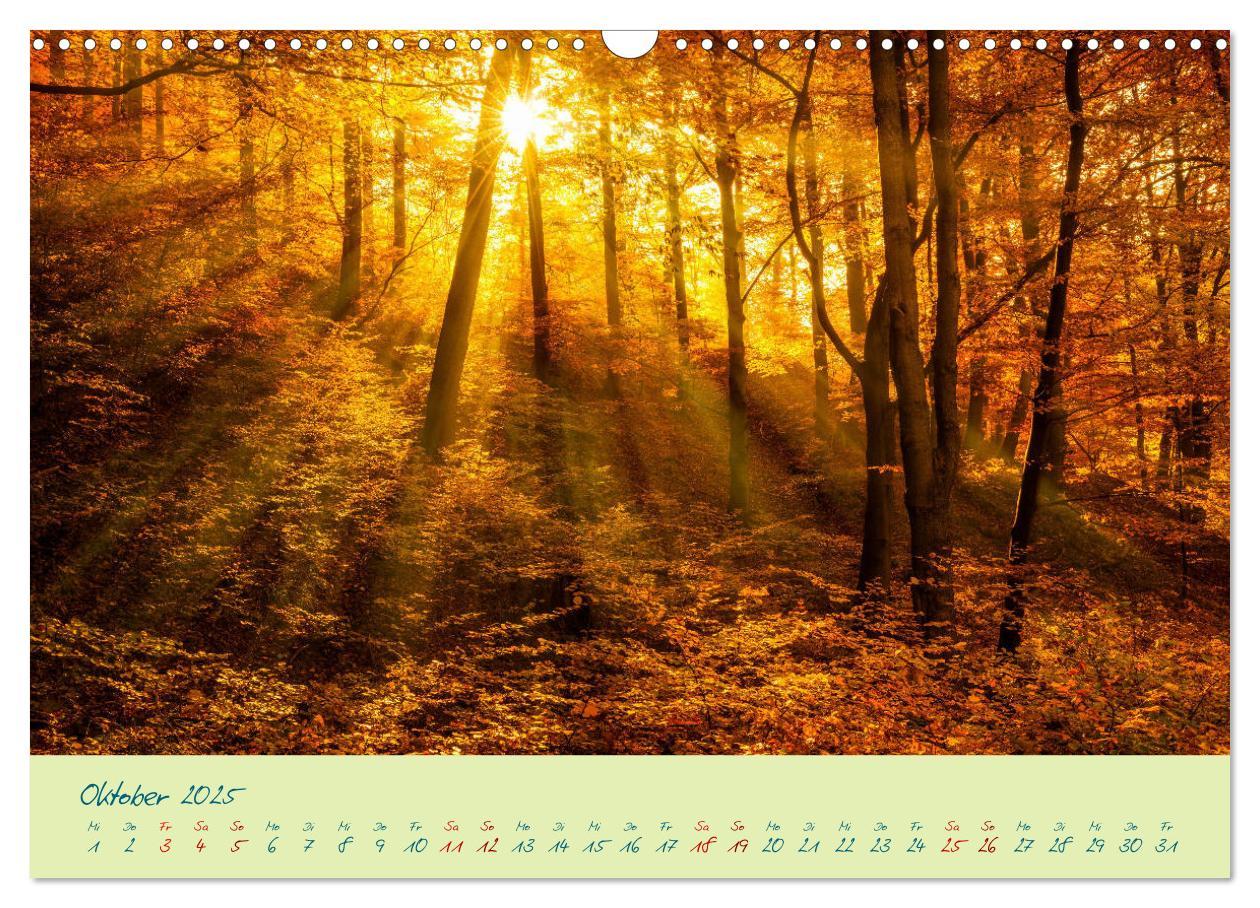 Bild: 9783435185313 | Harz Natur pur und Weltkulturerbe (Wandkalender 2025 DIN A3 quer),...