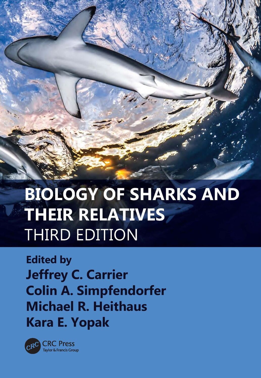 Cover: 9780367861179 | Biology of Sharks and Their Relatives | Colin A. Simpfendorfer (u. a.)