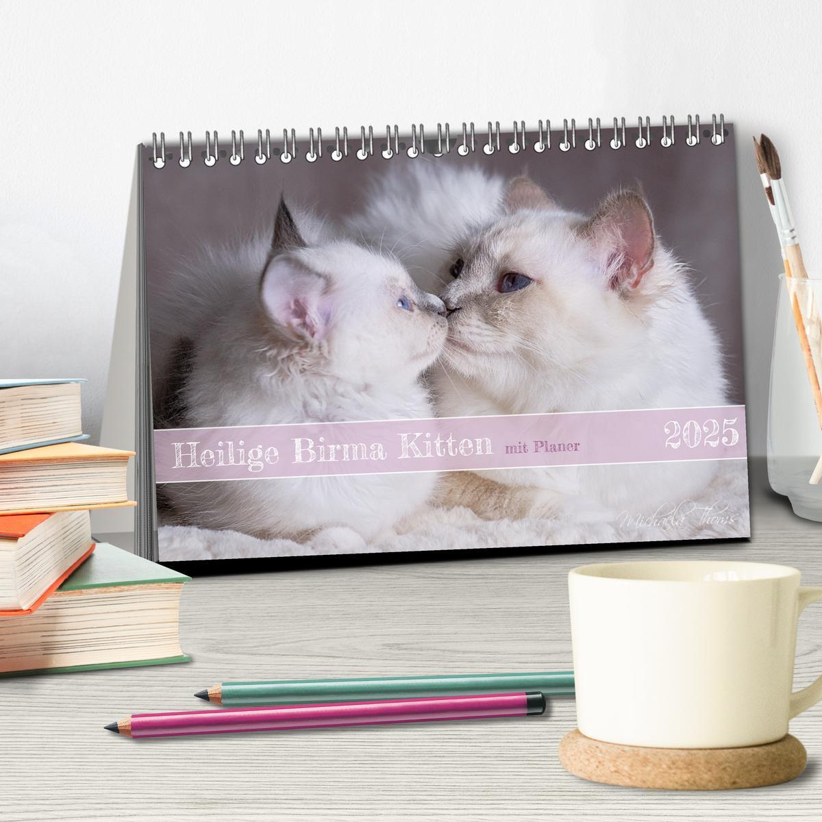 Bild: 9783383959745 | Heilige Birma Kitten mit Planer (Tischkalender 2025 DIN A5 quer),...