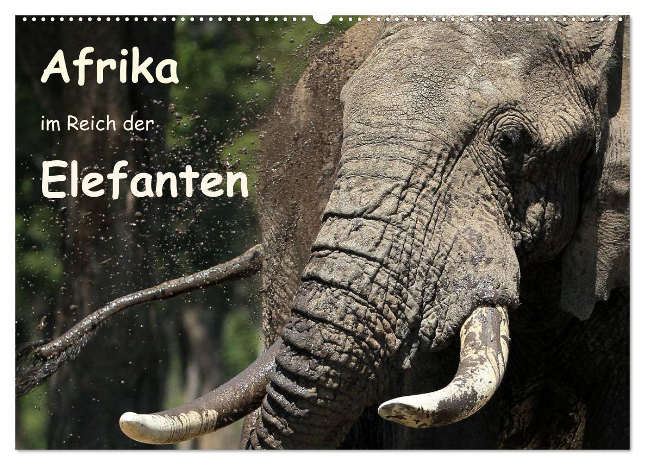 Cover: 9783435477111 | Afrika - im Reich der Elefanten (Wandkalender 2025 DIN A2 quer),...