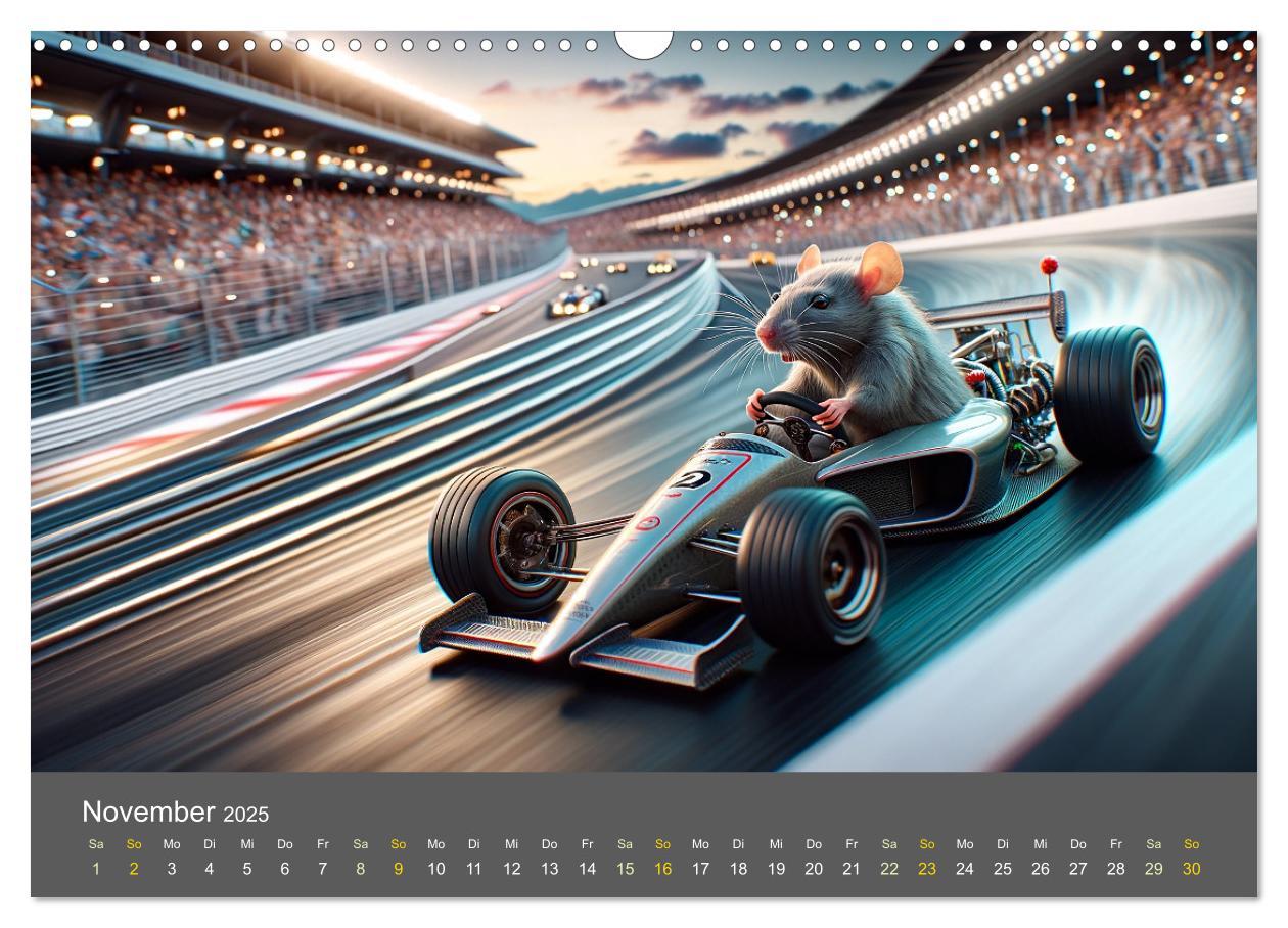 Bild: 9783383768637 | Abenteuerliche Ratten (Wandkalender 2025 DIN A3 quer), CALVENDO...