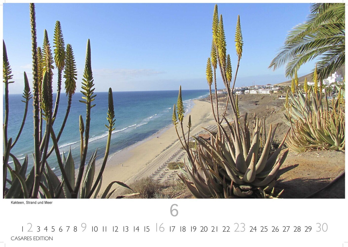 Bild: 9789918611997 | Fuerteventura 2024 L 35x50cm | Kalender | 14 S. | Deutsch | 2024