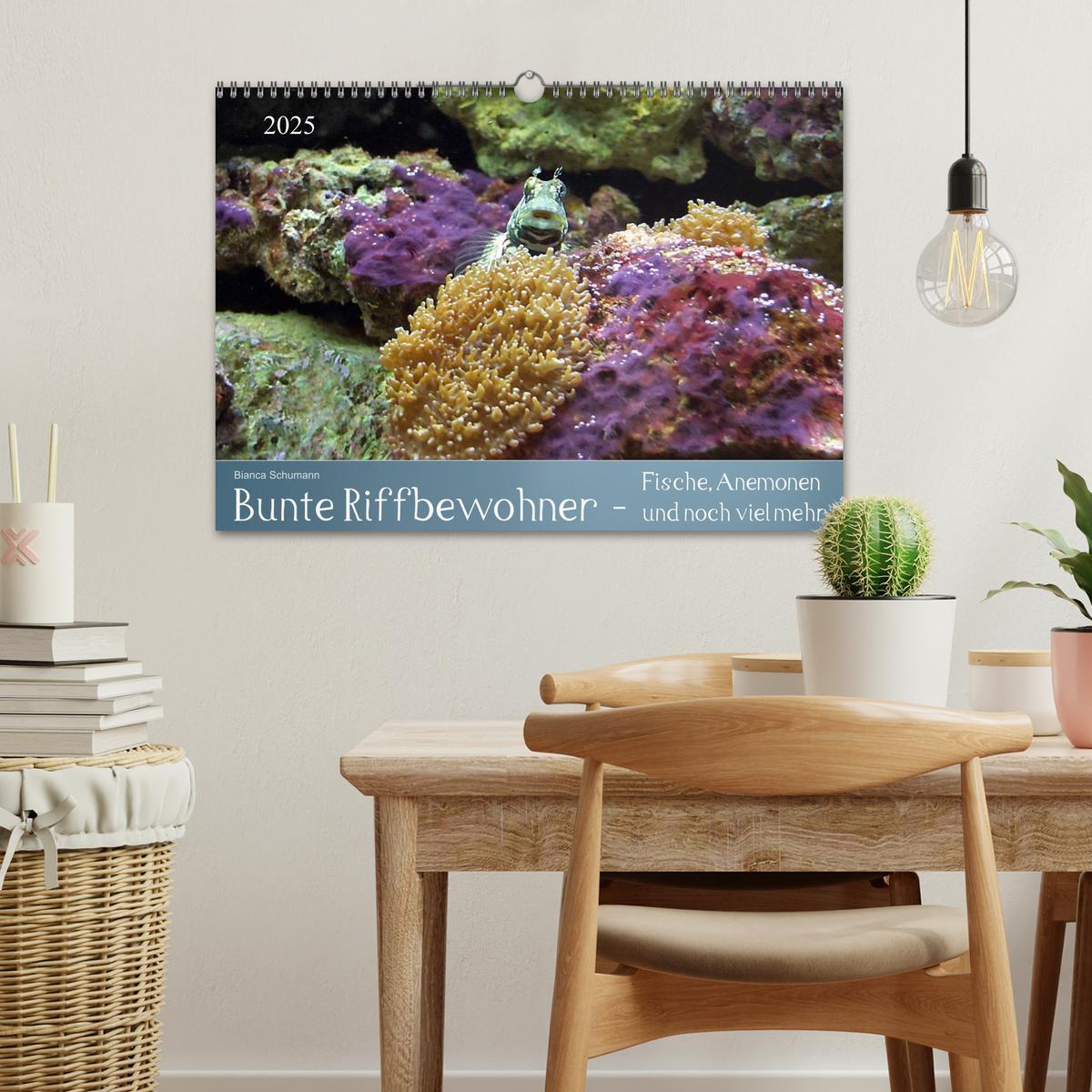 Bild: 9783435708840 | Bunte Riffbewohner - Fische, Anemonen und noch viel mehr...