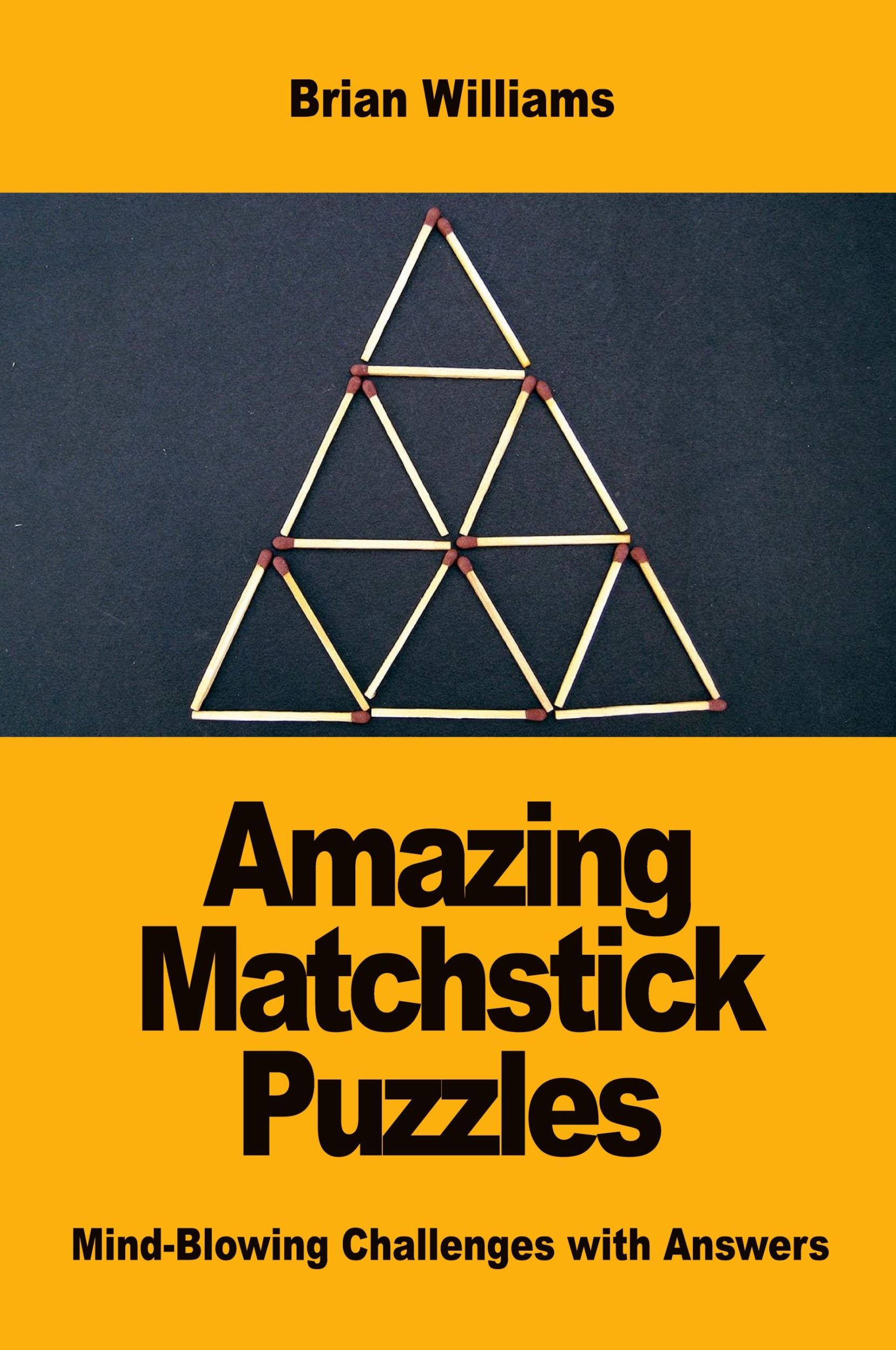 Cover: 9782917260661 | Amazing Matchstick Puzzles | Mind-Blowing Challenges with Answers