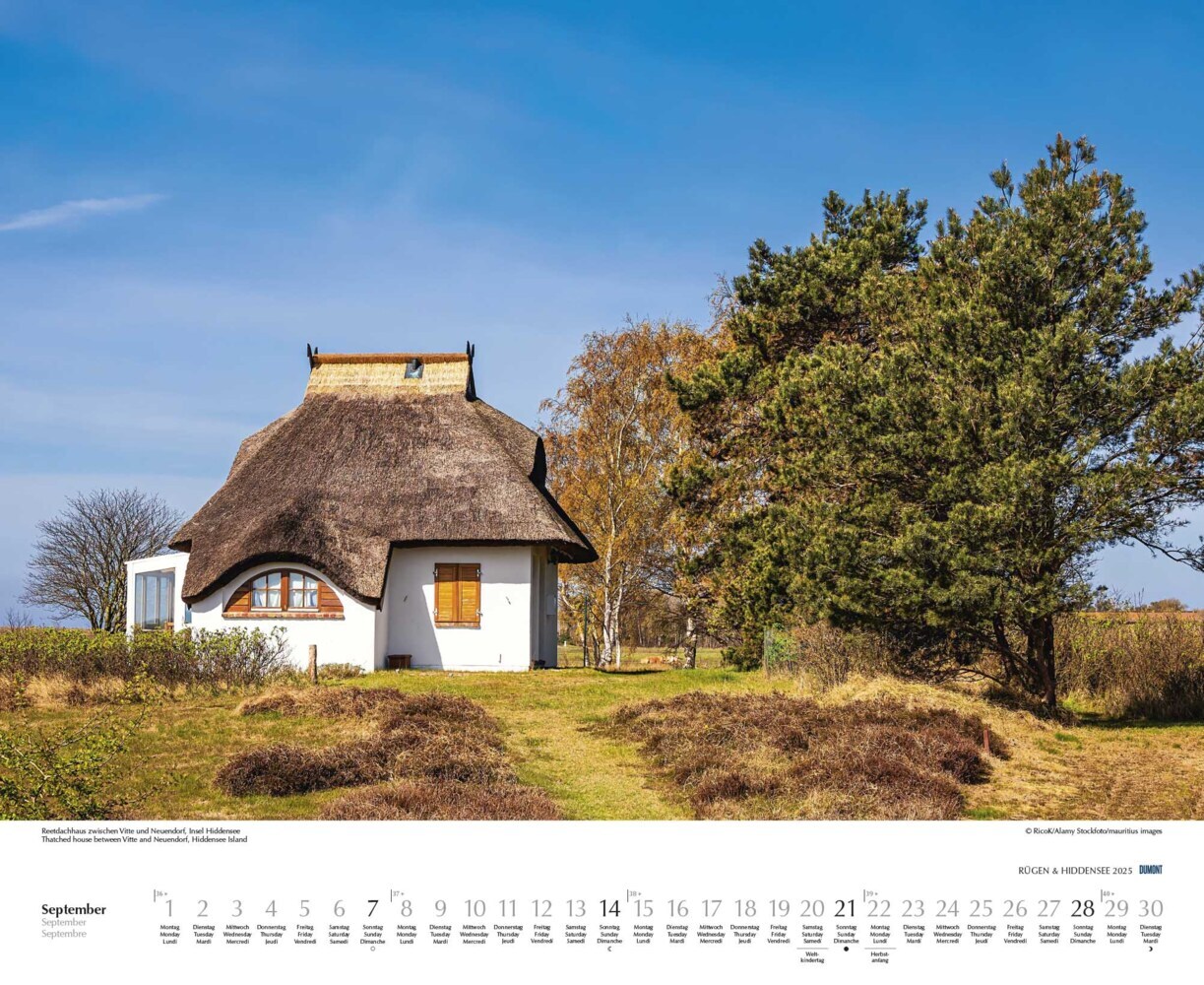 Bild: 4250809652726 | DUMONT - Rügen &amp; Hiddensee 2025 Wandkalender, 52x42,5cm,...