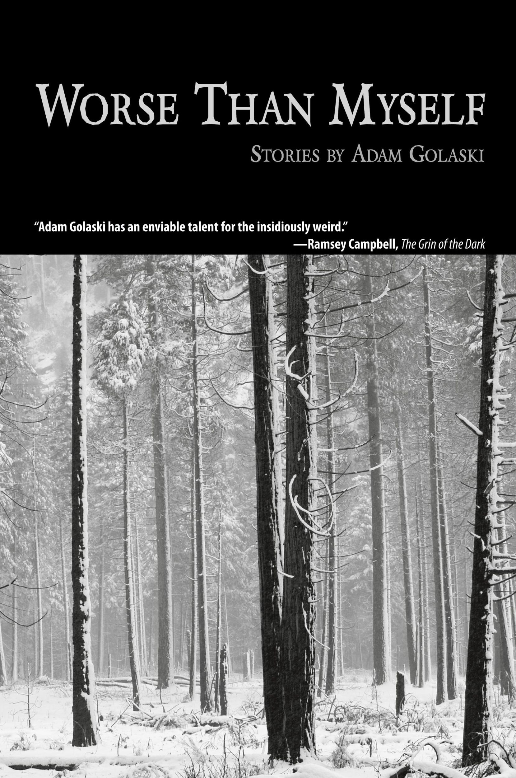 Cover: 9781933293677 | Worse Than Myself | Adam Golaski | Taschenbuch | Englisch | 2008