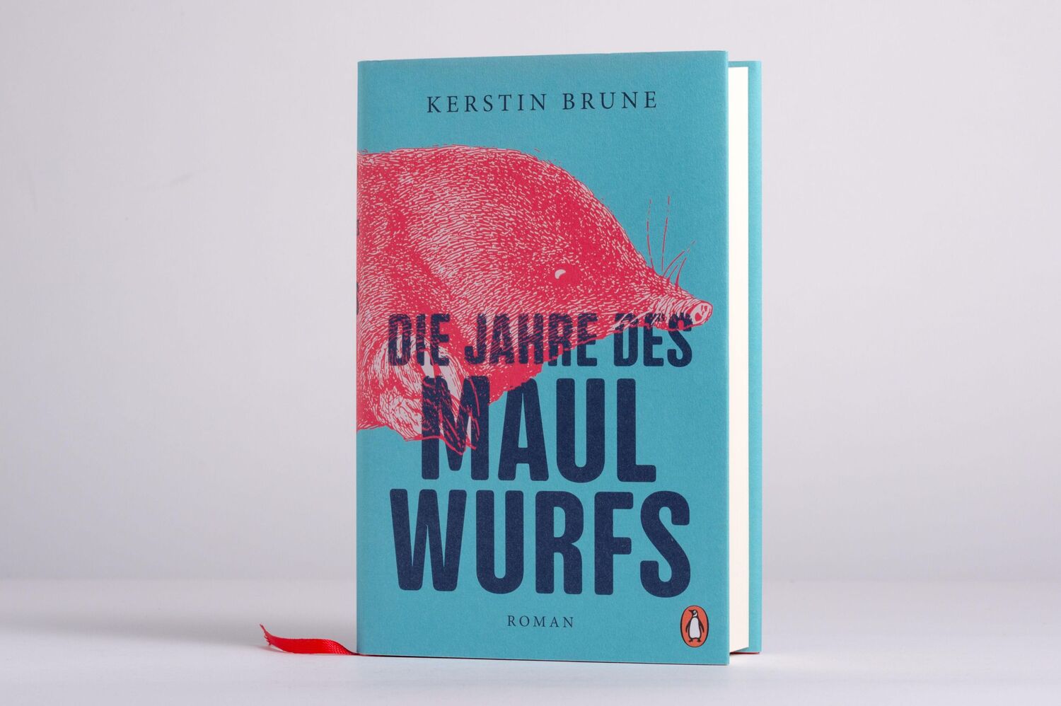 Bild: 9783328601814 | Die Jahre des Maulwurfs | Roman | Kerstin Brune | Buch | 464 S. | 2022