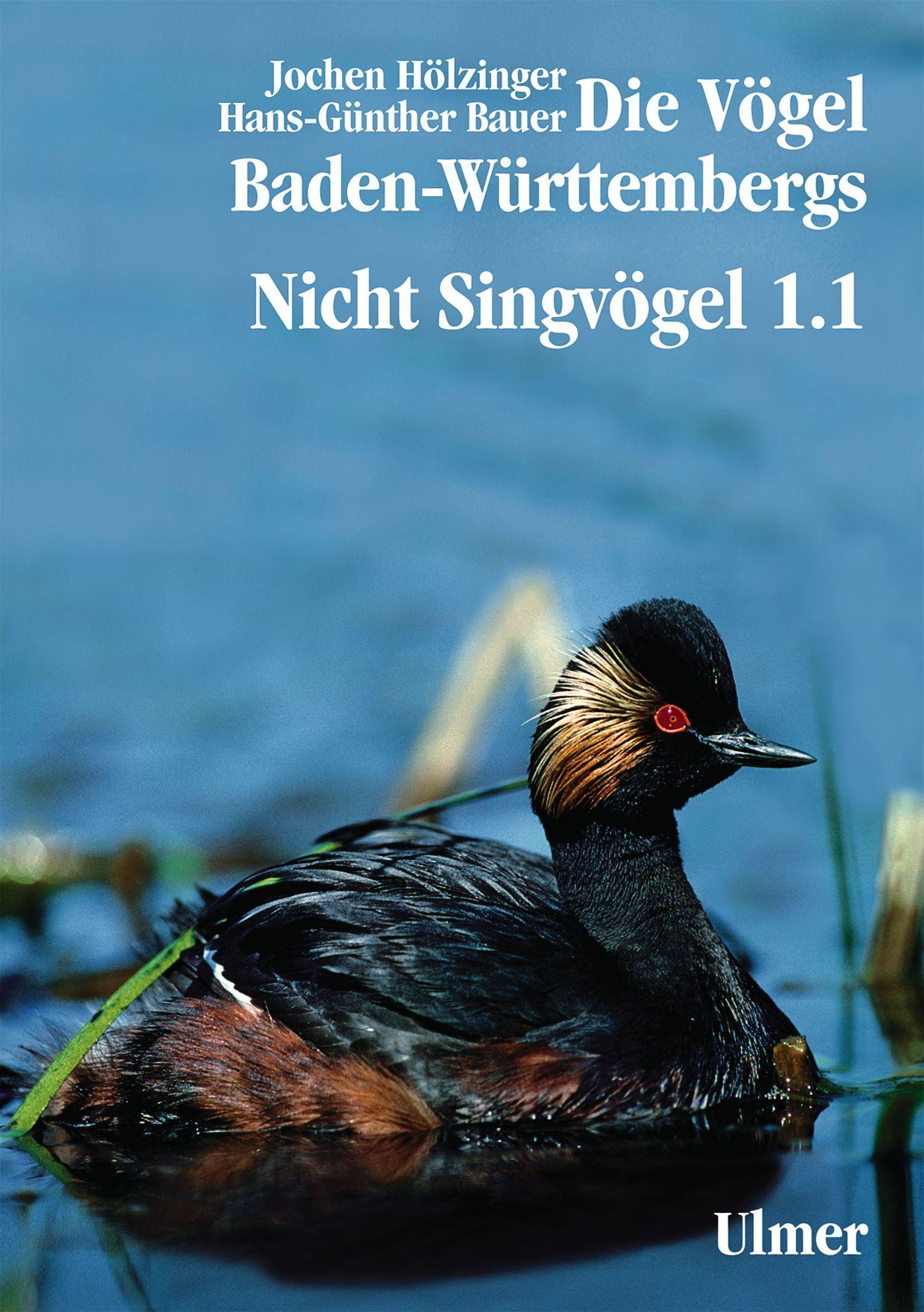 Cover: 9783800175659 | Die Vögel Baden-Württembergs Band 2.0 - Nicht-Singvögel1.1, Nandus...