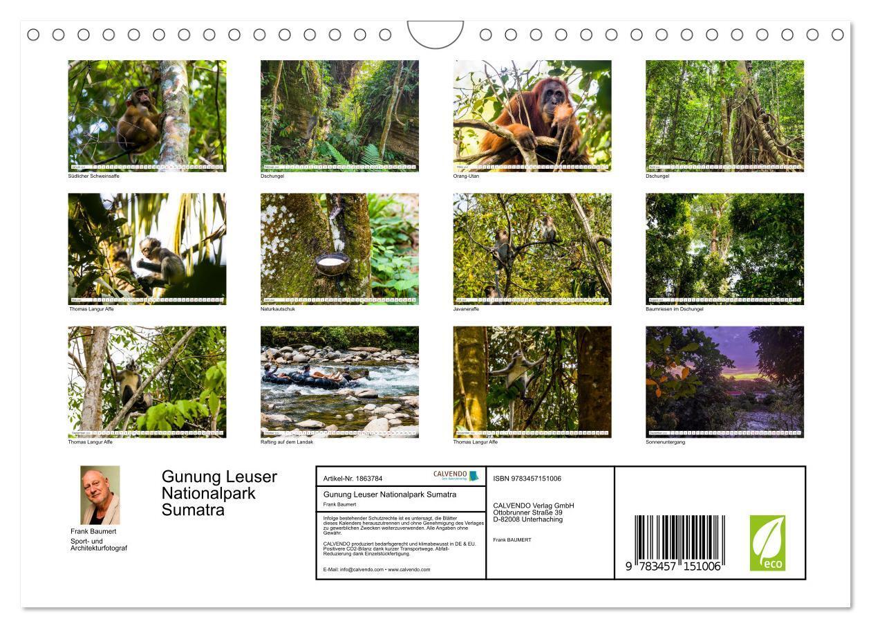 Bild: 9783457151006 | Gunung Leuser Nationalpark Sumatra (Wandkalender 2025 DIN A4 quer),...