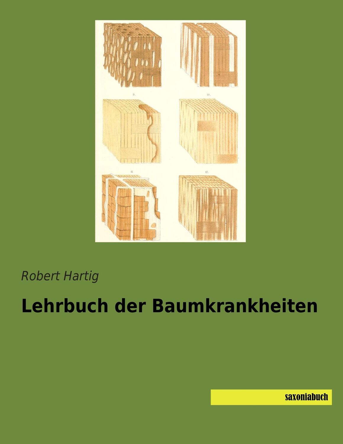 Cover: 9783957702210 | Lehrbuch der Baumkrankheiten | Robert Hartig | Taschenbuch | Paperback