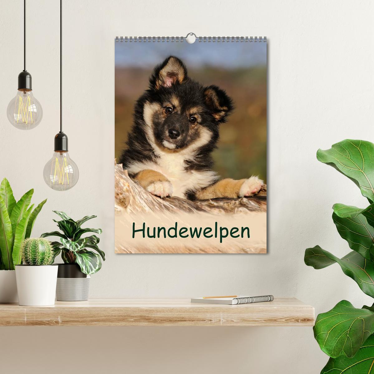 Bild: 9783457076484 | Hundewelpen (Wandkalender 2025 DIN A3 hoch), CALVENDO Monatskalender