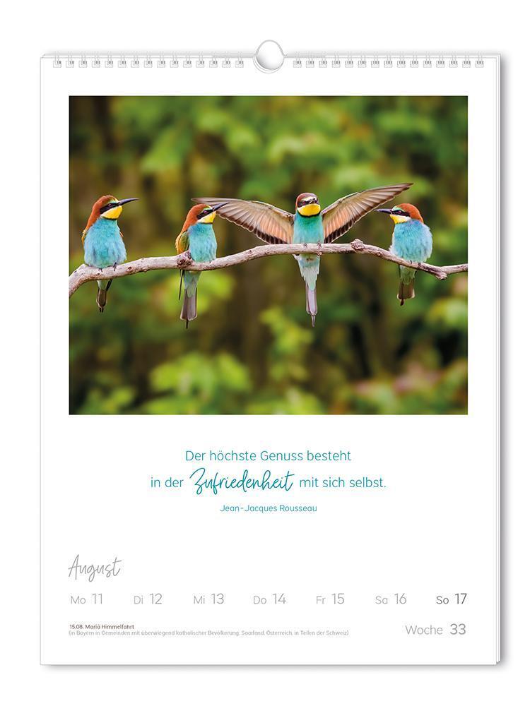 Bild: 9783986361129 | Wochenkalender 2025 LebensWeisheiten | Wochenkalender groß | Original