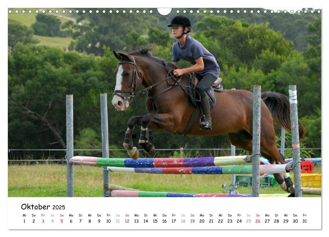 Bild: 9783435606481 | Pony Springreiten (Wandkalender 2025 DIN A3 quer), CALVENDO...