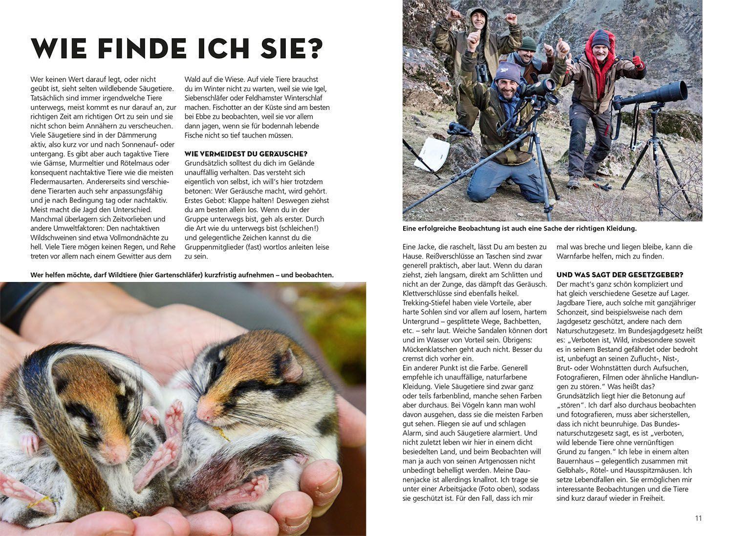 Bild: 9783440172391 | Die siehst du - Die Tiere um dich herum | Hase, Fuchs & Co. | Bürglin