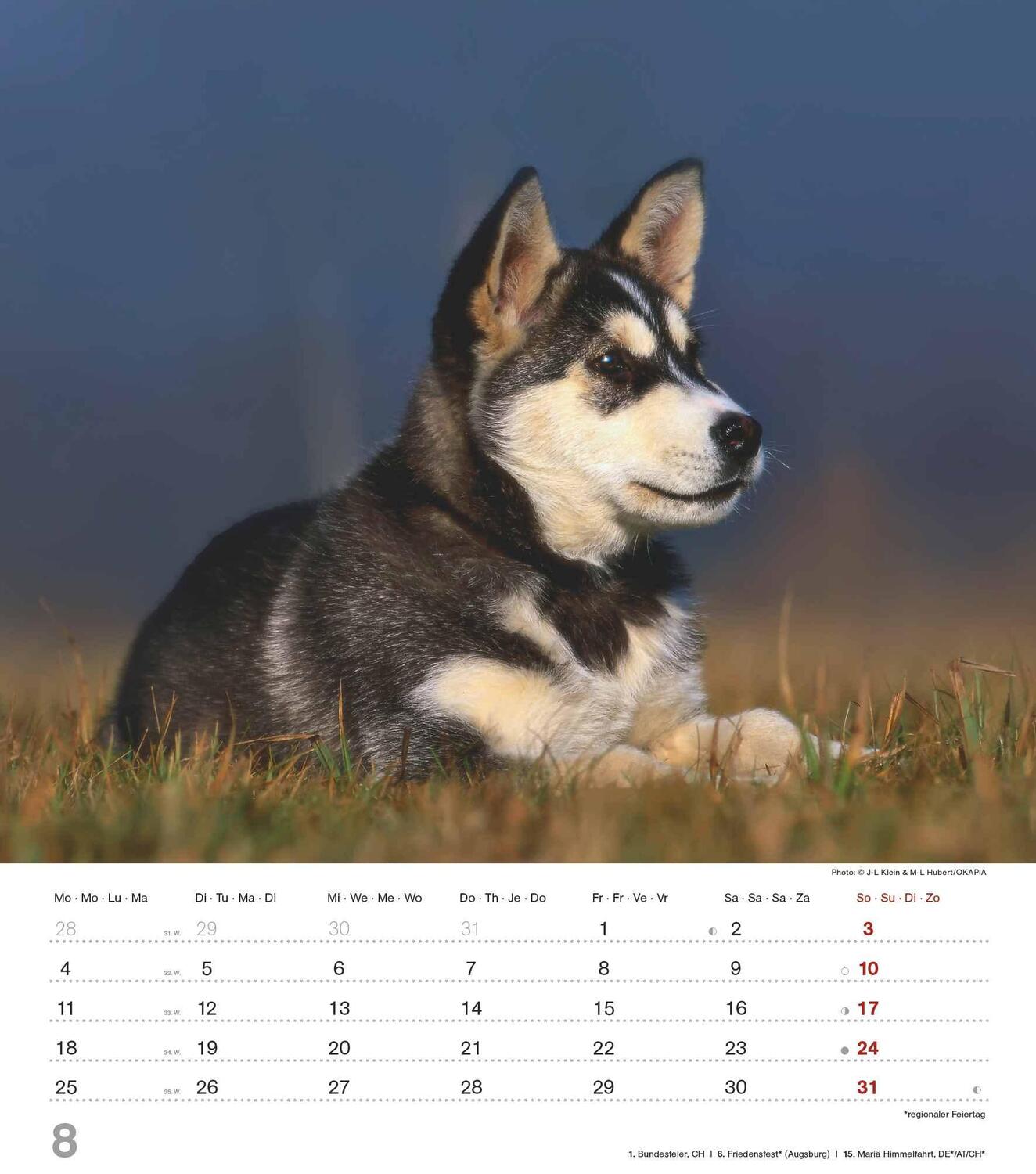 Bild: 4251732344405 | Niedliche Hundekinder 2025 - Wand-Kalender - Tier-Kalender - 30x34