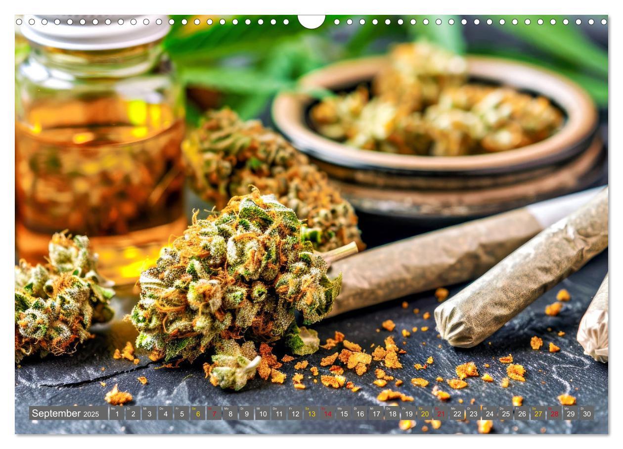 Bild: 9783435696123 | Faszination Cannabis (Wandkalender 2025 DIN A3 quer), CALVENDO...