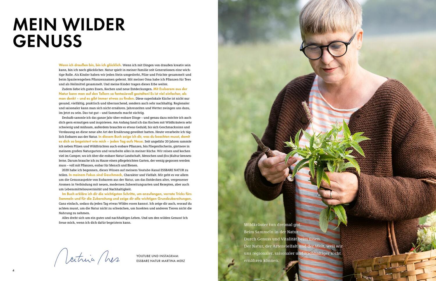 Bild: 9783954532339 | Wildkräuter - Bestimmen, Sammeln, Zubereiten | Martina Merz | Buch