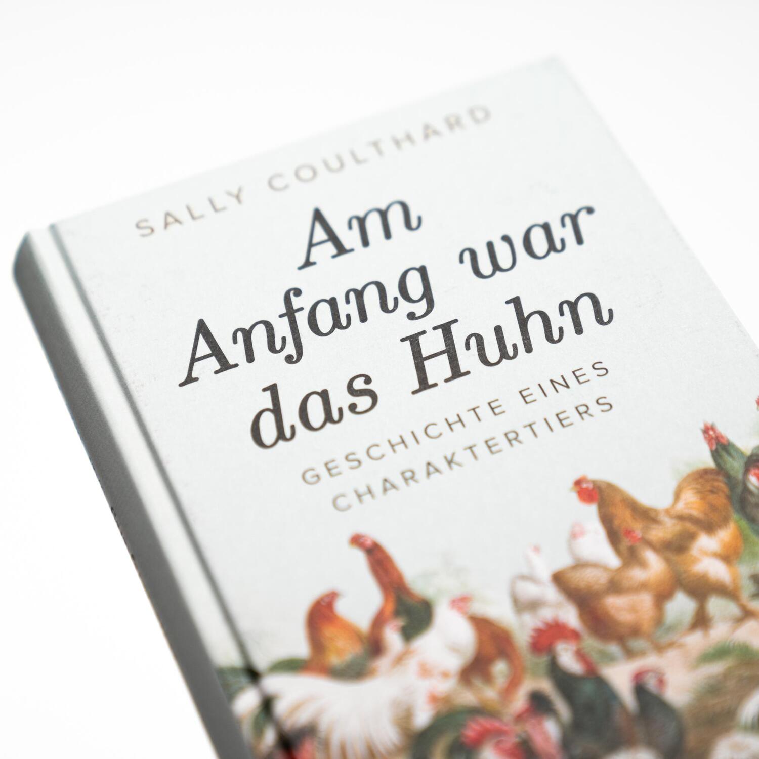 Bild: 9783365004869 | Am Anfang war das Huhn. Geschichte eines Charaktertiers | Coulthard