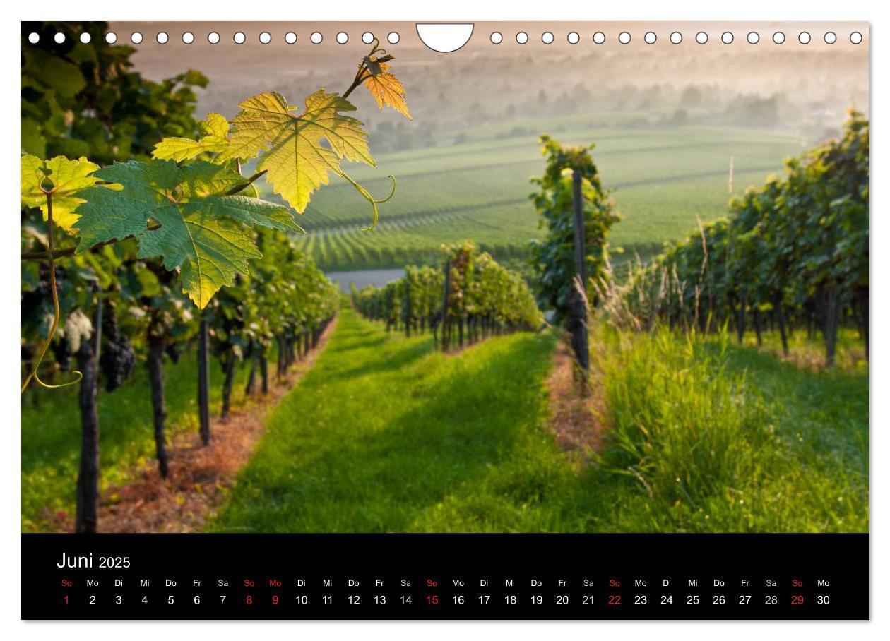 Bild: 9783435718948 | Weinberge im Remstal (Wandkalender 2025 DIN A4 quer), CALVENDO...