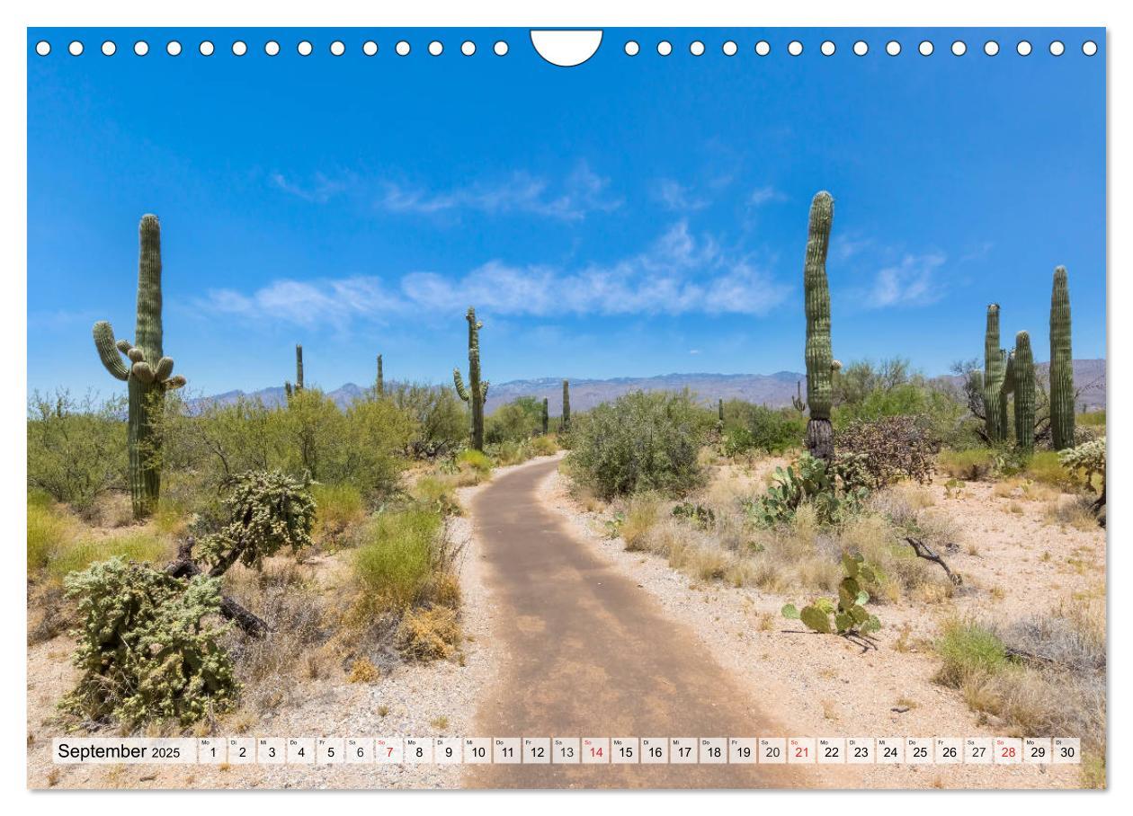 Bild: 9783435203079 | SAGUARO NATIONAL PARK Heimat des Saguaro-Kaktus (Wandkalender 2025...