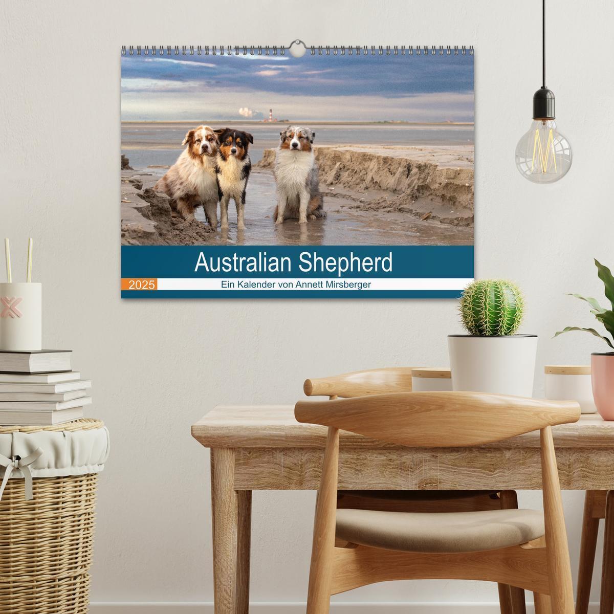 Bild: 9783435672875 | Australian Shepherd 2025 (Wandkalender 2025 DIN A3 quer), CALVENDO...