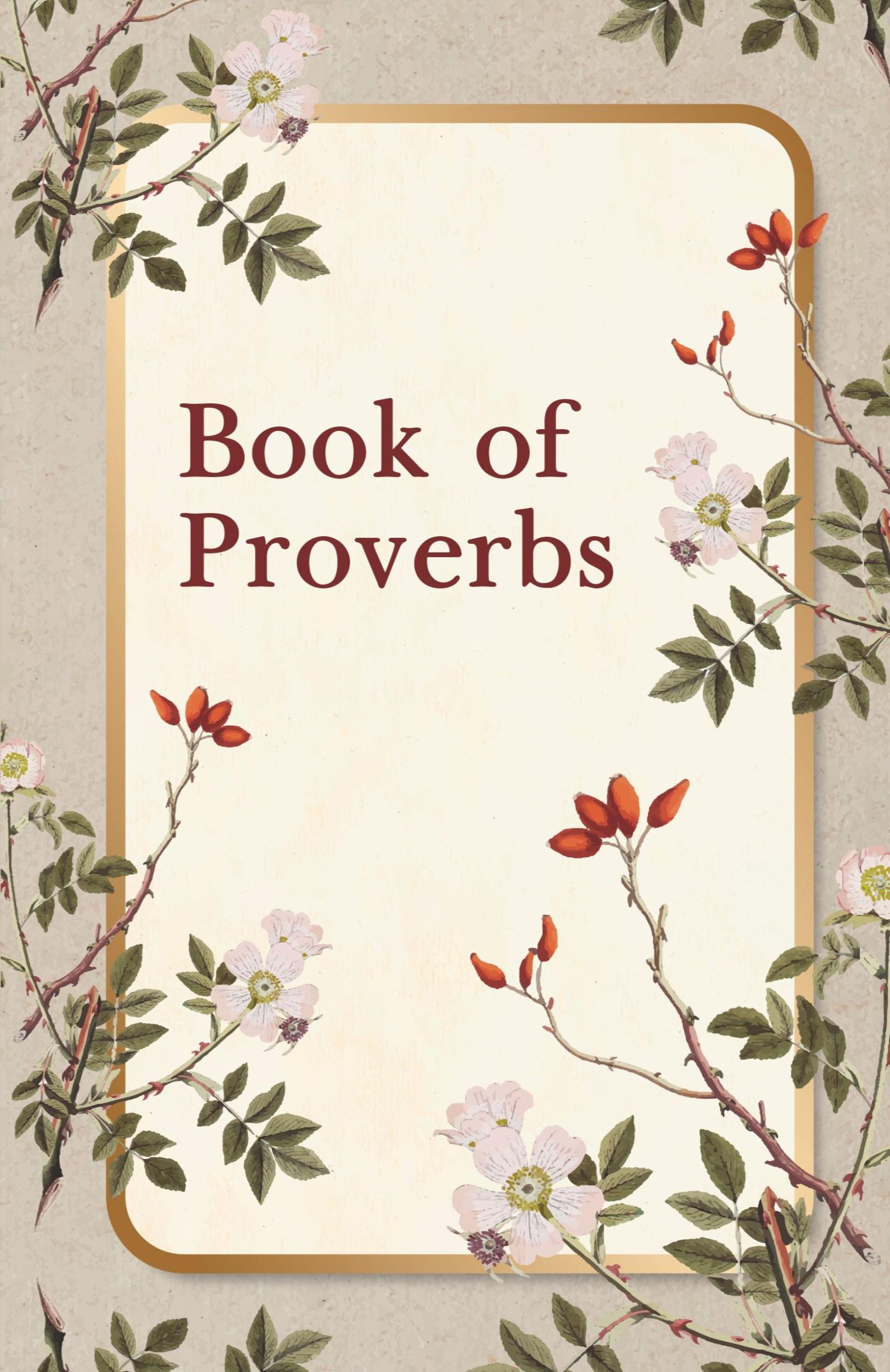 Cover: 9781639230907 | Book of Proverbs Paperback | King James Bible | Taschenbuch | Englisch