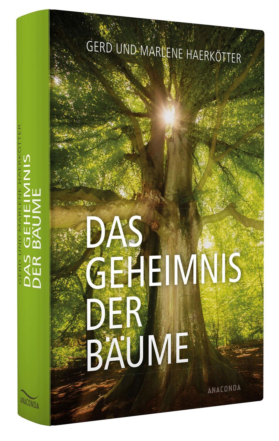 Bild: 9783730603154 | Das Geheimnis der Bäume | Sagen, Geschichte, Beschreibungen | Buch