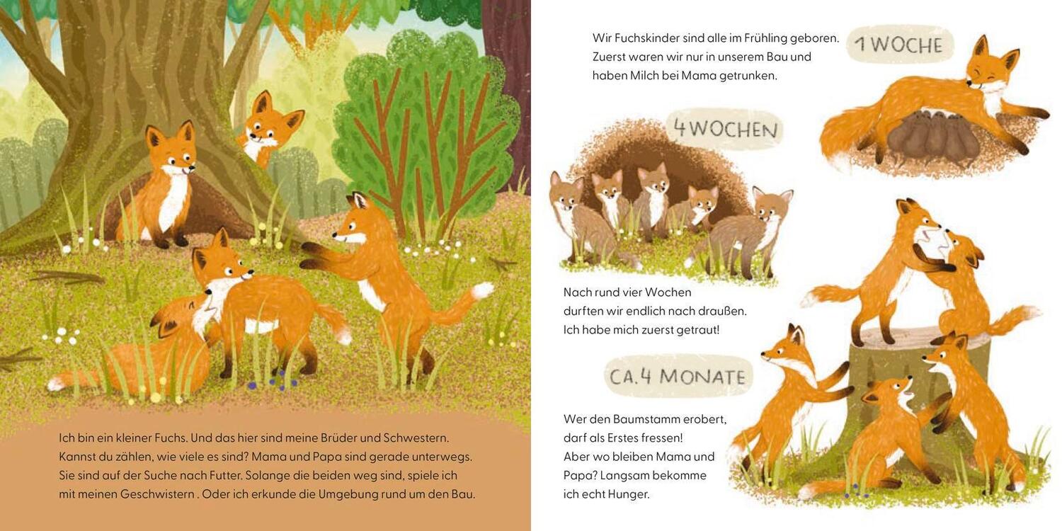 Bild: 9783737373173 | Kennst du mich? Ich bin ein Fuchs! | Andrea Weller-Essers | Buch