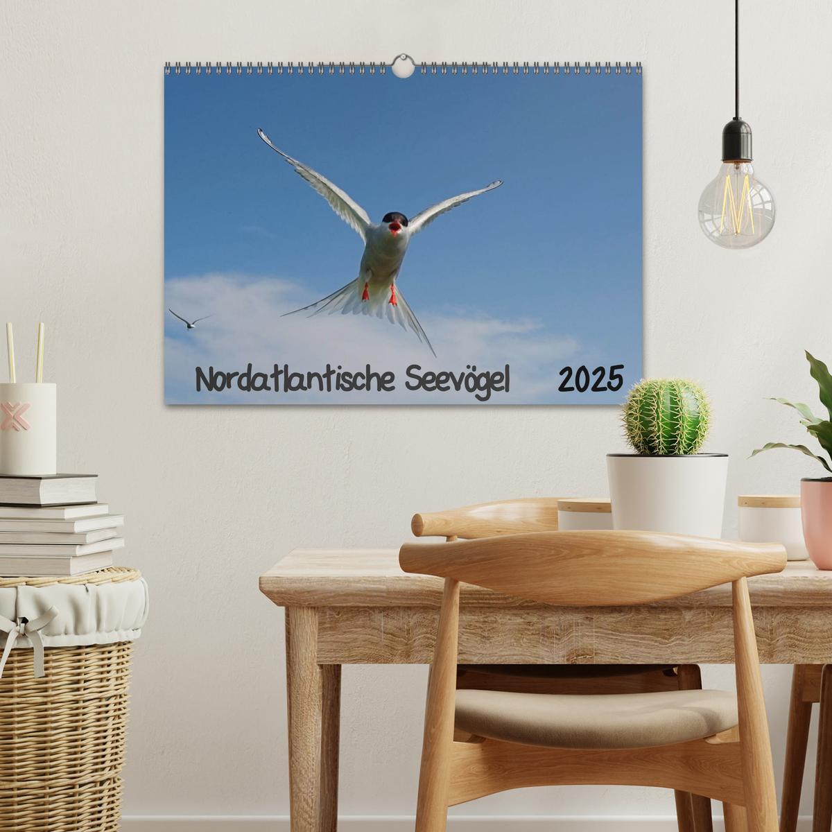 Bild: 9783435802562 | Nordatlantische Seevögel (Wandkalender 2025 DIN A3 quer), CALVENDO...