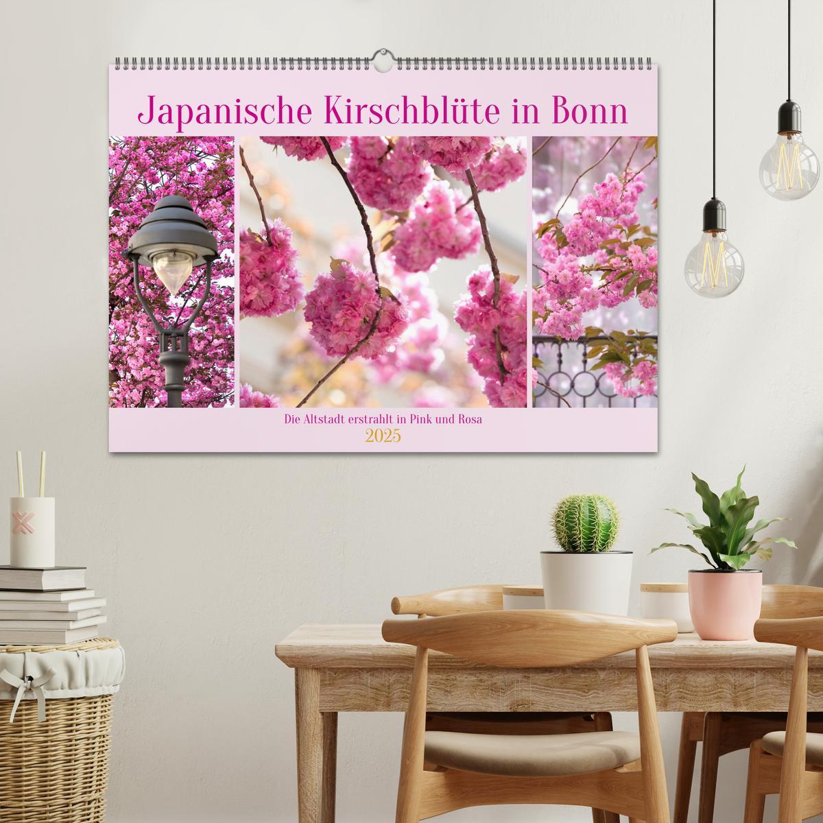 Bild: 9783457127919 | Japanische Kirschblüte in Bonn (Wandkalender 2025 DIN A2 quer),...