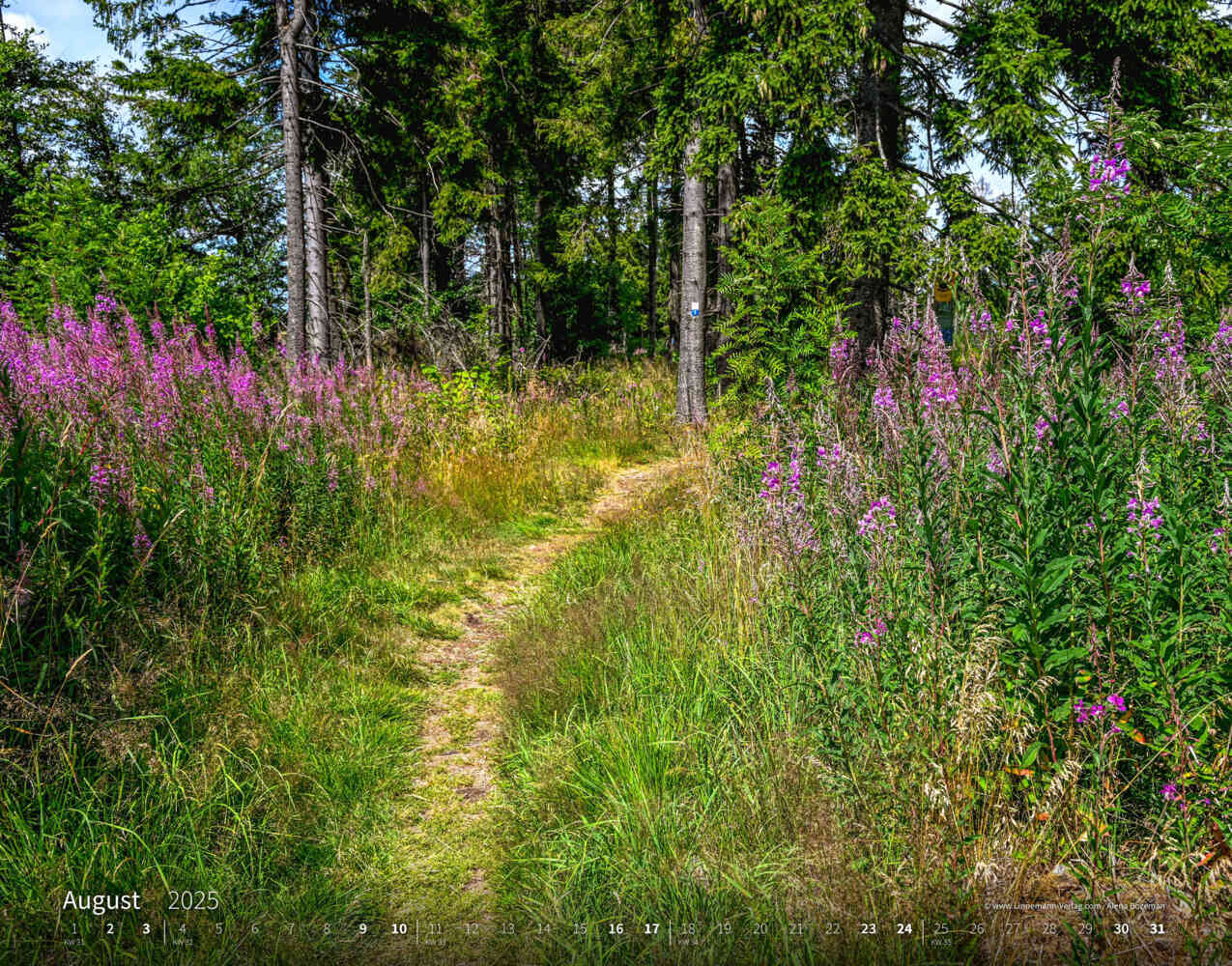 Bild: 9783862923427 | Wandern 2025 Großformat-Kalender 58 x 45,5 cm | Hiking 2025 | Verlag