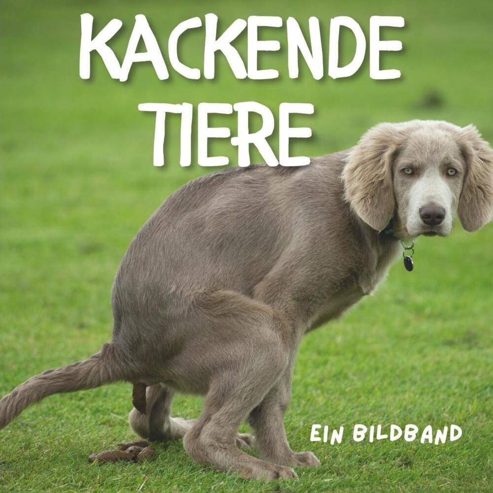 Cover: 9783750500631 | Tiere beim Kacken | Der befreiende Bildband | Tim Fröhlich | Buch