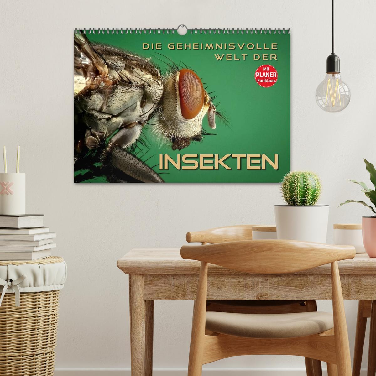 Bild: 9783435488971 | Die geheimnisvolle Welt der Insekten (Wandkalender 2025 DIN A3...