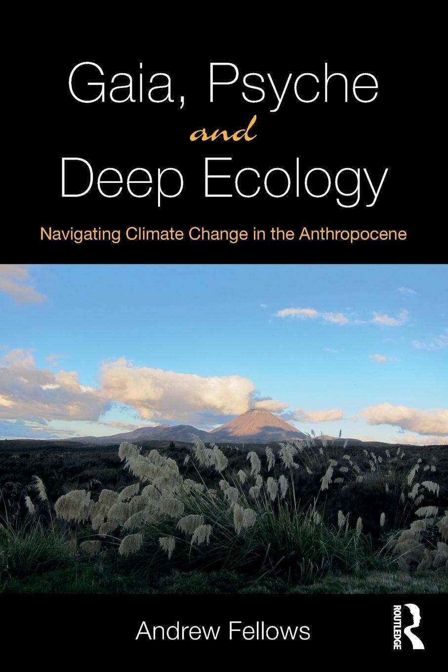 Cover: 9781138300507 | Gaia, Psyche and Deep Ecology | Andrew Fellows | Taschenbuch | 2019