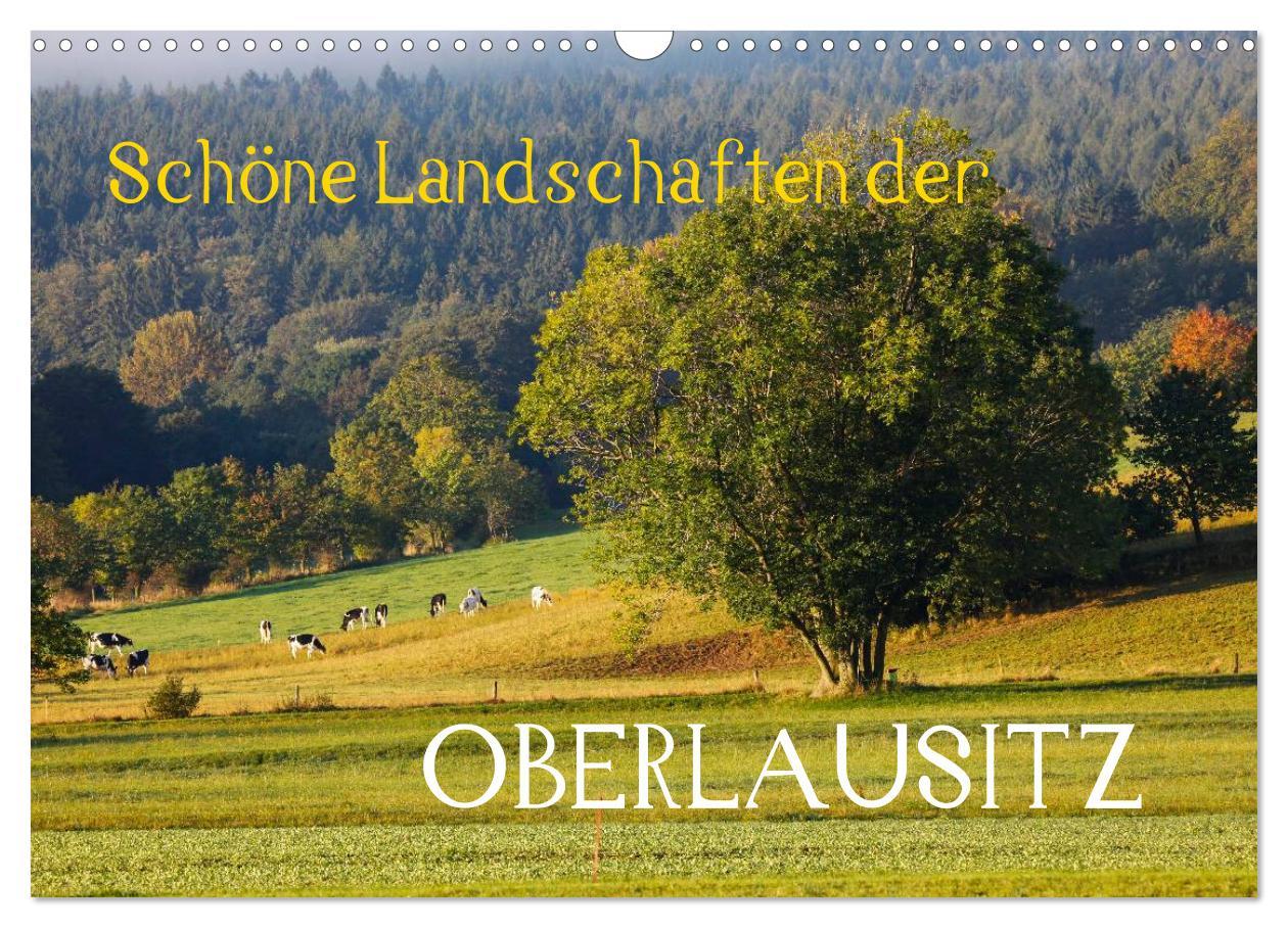 Cover: 9783435568451 | Schöne Landschaften der Oberlausitz (Wandkalender 2025 DIN A3...