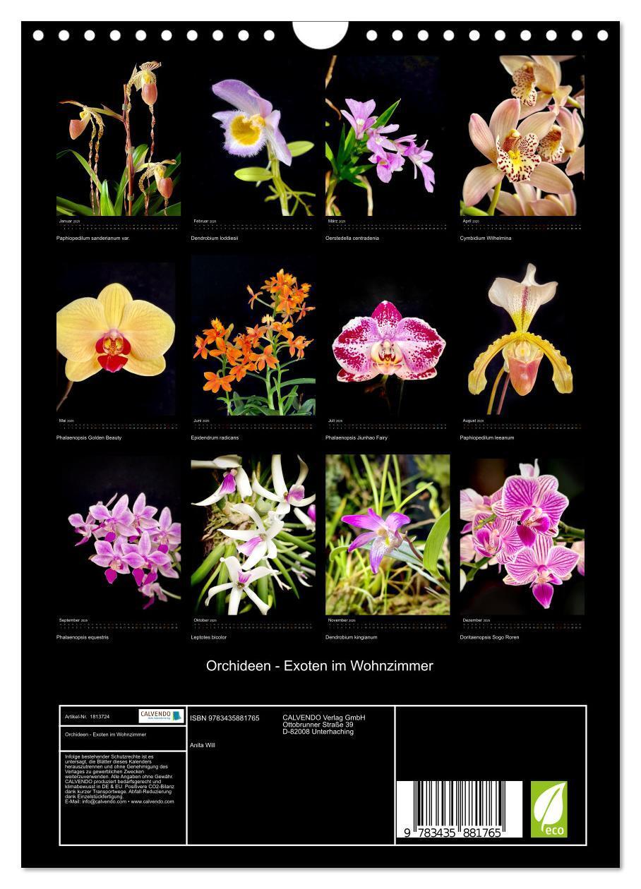 Bild: 9783435881765 | Orchideen - Exoten im Wohnzimmer (Wandkalender 2025 DIN A4 hoch),...