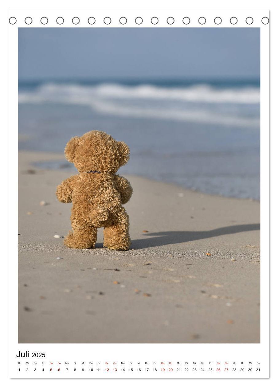 Bild: 9783435984435 | Travelling Teddy Kuba Edition 2025 (Tischkalender 2025 DIN A5...