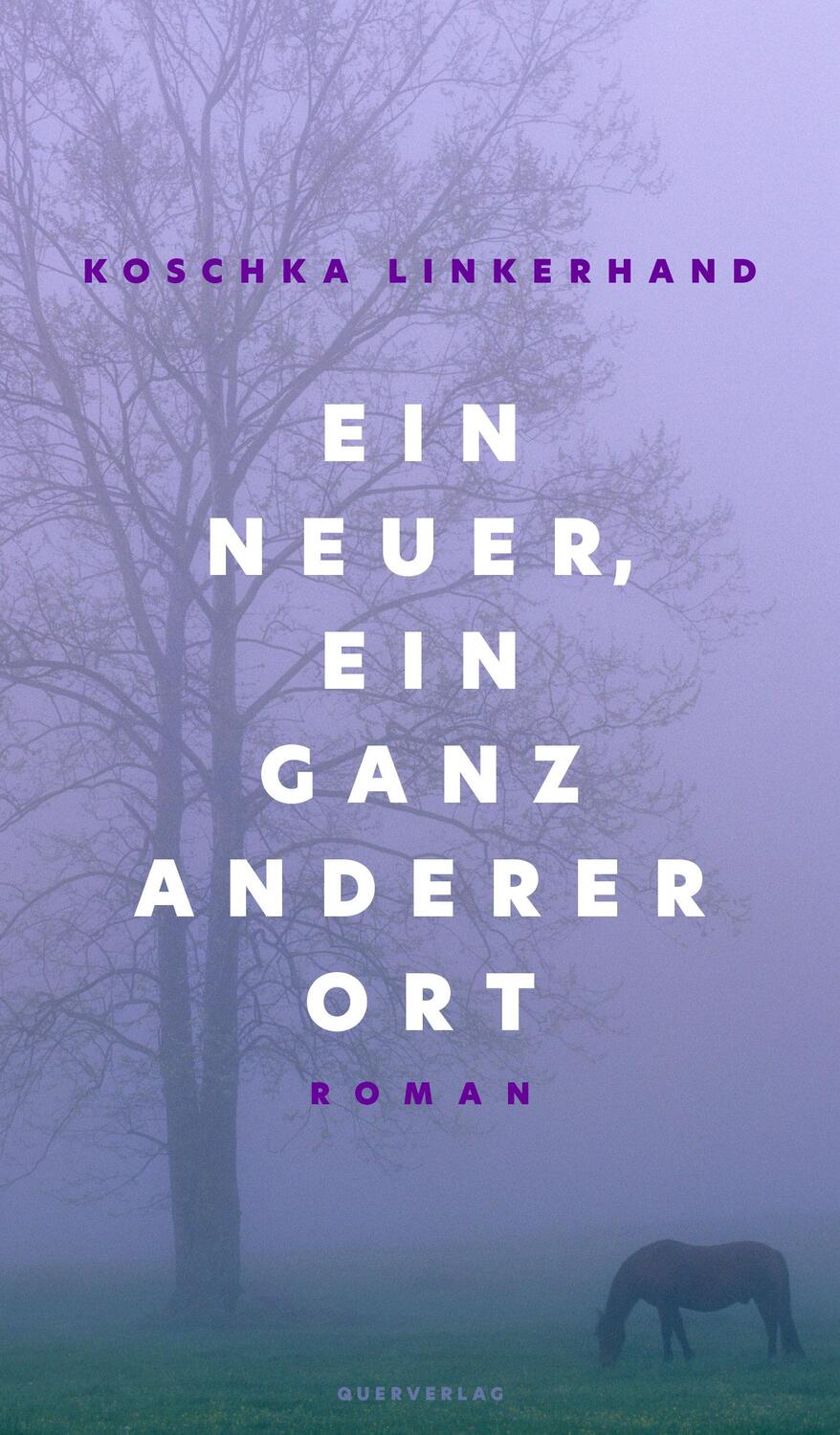 Cover: 9783896563002 | Ein neuer, ein ganz anderer Ort | Roman | Koschka Linkerhand | Buch