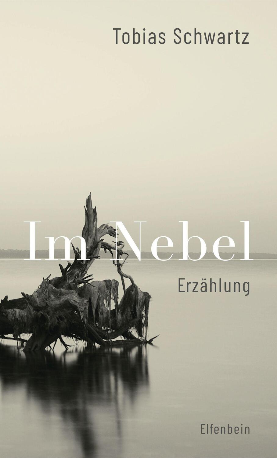 Cover: 9783961600922 | Im Nebel | Erzählung | Tobias Schwartz | Taschenbuch | 96 S. | Deutsch