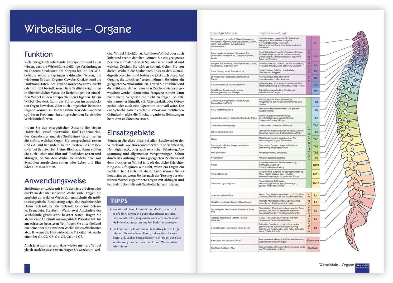 Bild: 9783863741068 | Praxisbuch Neue Homöopathie | Christina Baumann (u. a.) | Taschenbuch