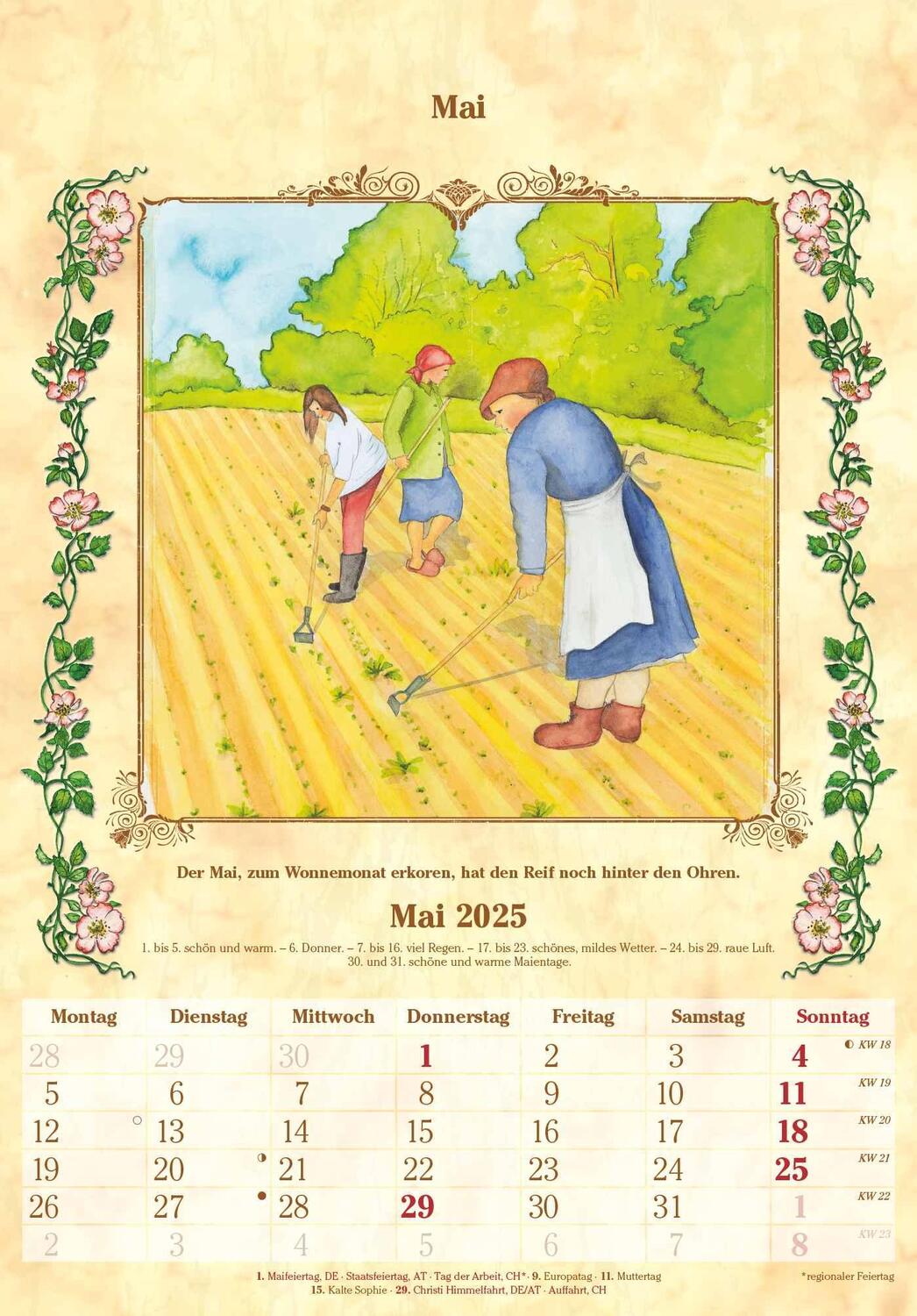 Bild: 4251732341060 | Bauernkalender 2025 - Bildkalender 23,7x34 cm - mit...